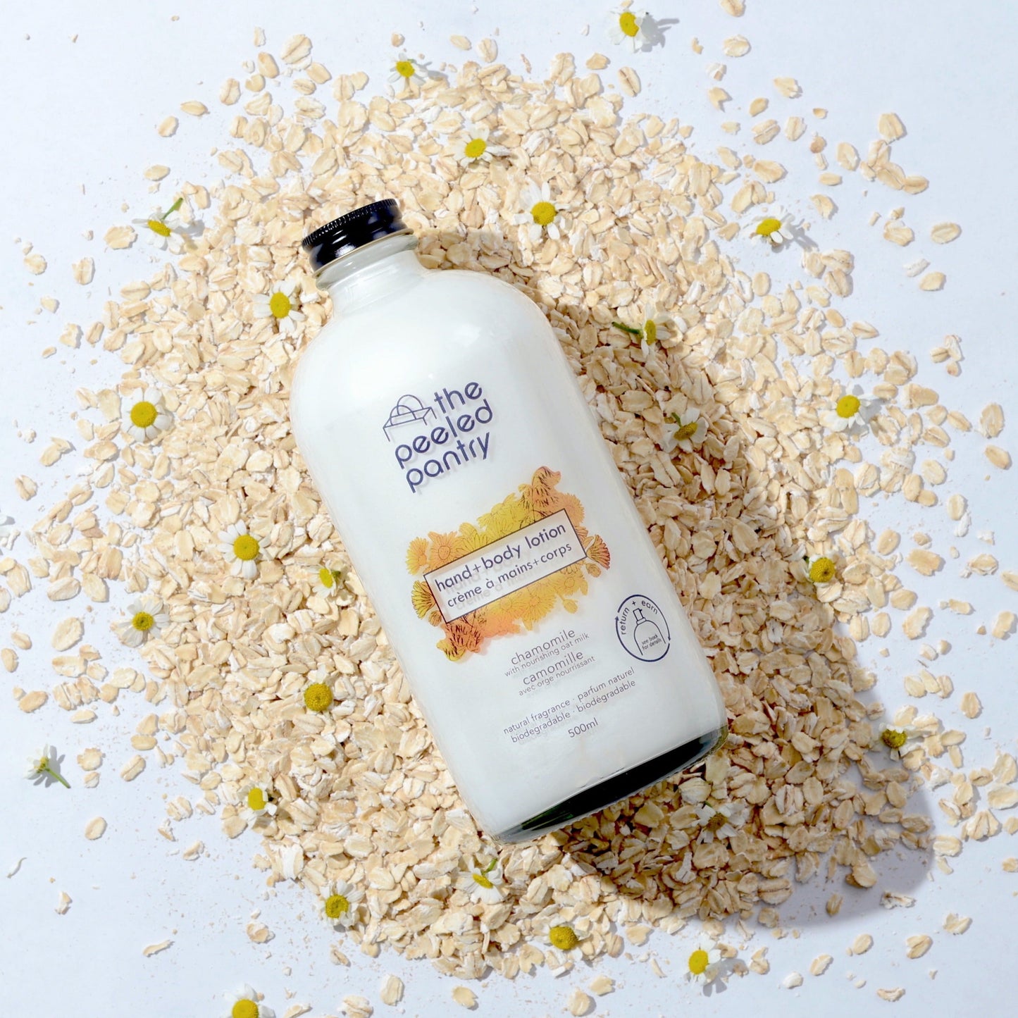 Hand & Body Lotion - Chamomile Oat